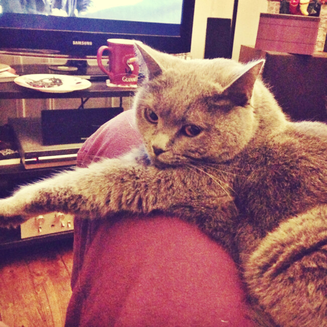 Gros câlin