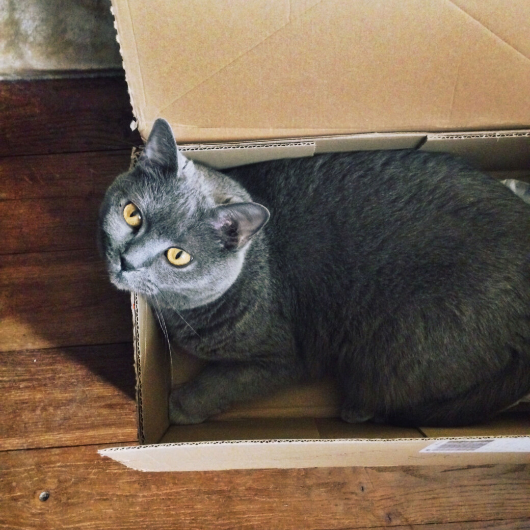 Le bonheur, c'est simple comme un carton.