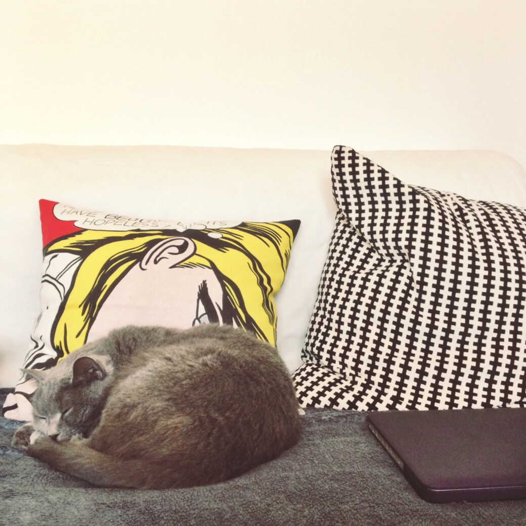 Le chat valide notre nouveau canapé