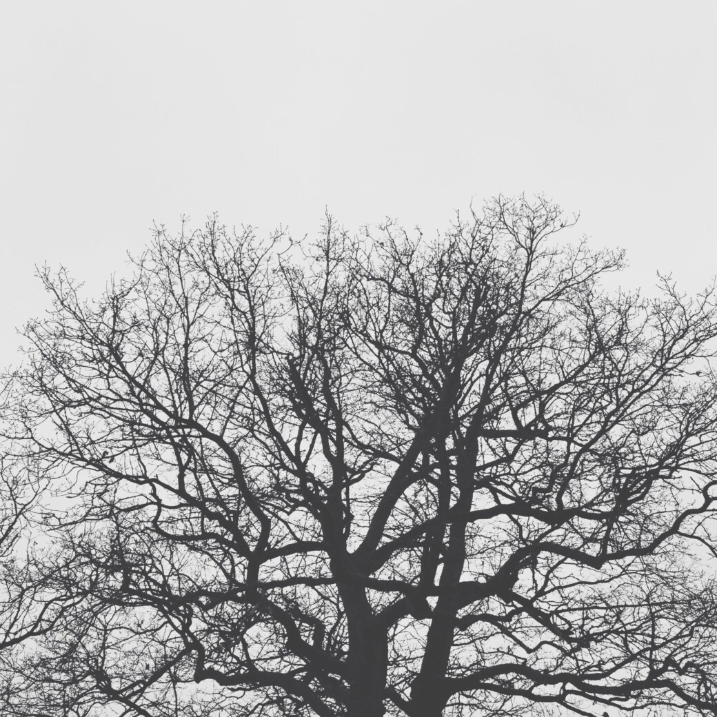 Impression noir et blanc