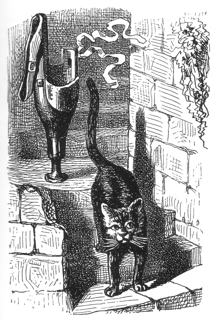 Le chat noir et la jambe de bois du comte de Combourg