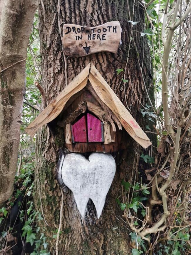 Une maisonette pour fée accrochée sur un arbre : une grosse dent en bois est présente ainsi qu’un panneau « Drop tooth in here » (« Glissez une dent ici »).