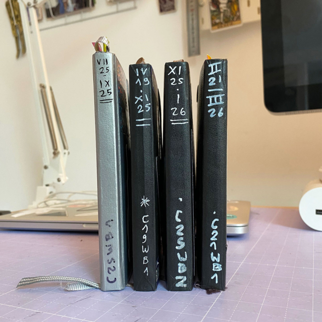 Tranches de mes carnets