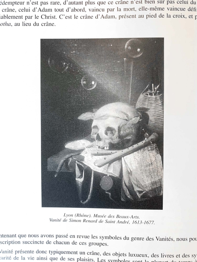 Lyon (Rhône). Musée des Beaux-Arts. Vanité de Simon Renard de Saint-André, 1613-1677.