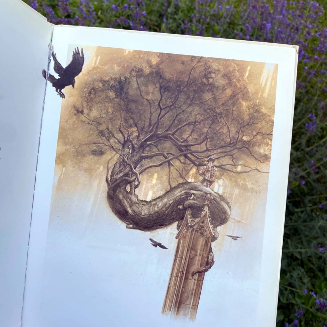Arbre tortueux
