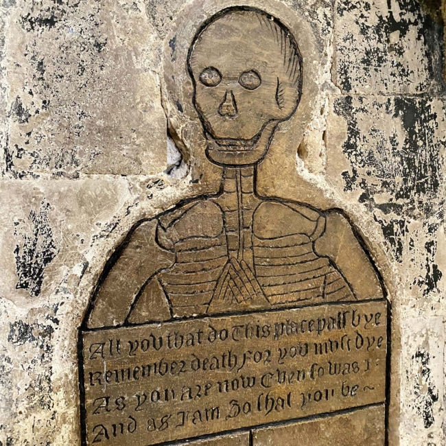 Vue du squelette de profil