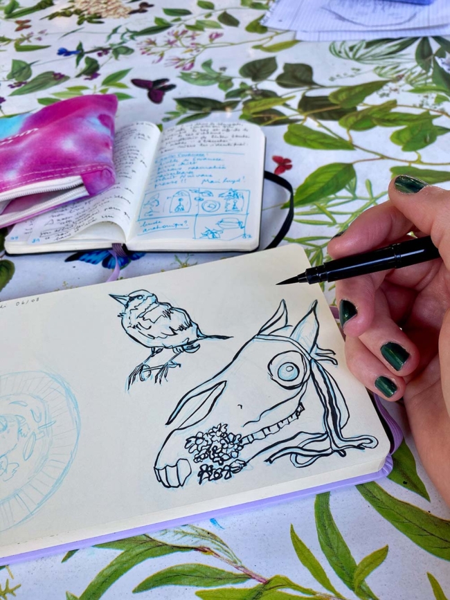 Dessin de Mari Lwyd dans un carnet